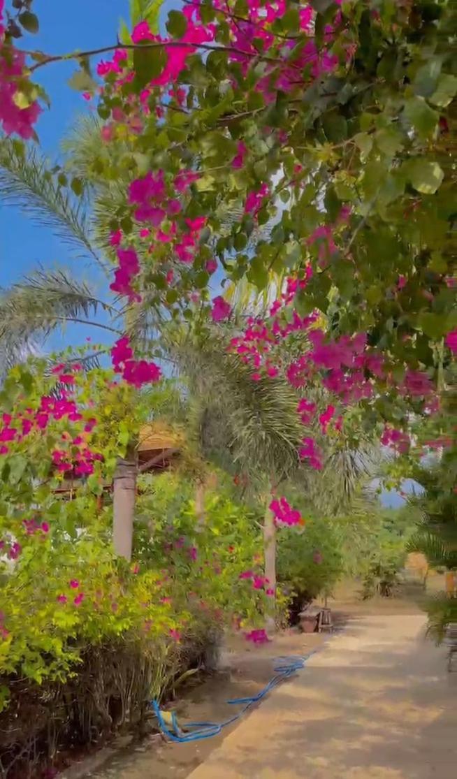 Sea Breeze Villas - Gili Air, Lombok Exterior photo